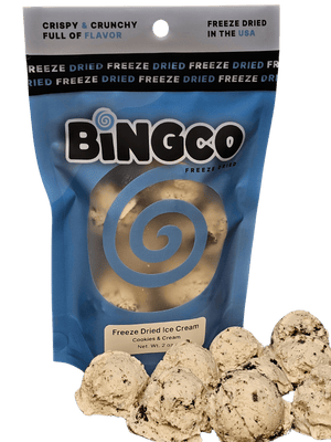 Freeze Dried Ice Cream - Bingco