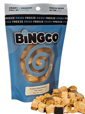 Freeze Dried Salmon - Bingco