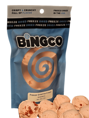 Freeze Dried Ice Cream - Bingco